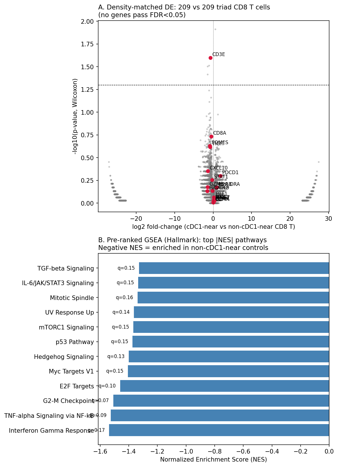 cDC1-resolved density-matched GSEA