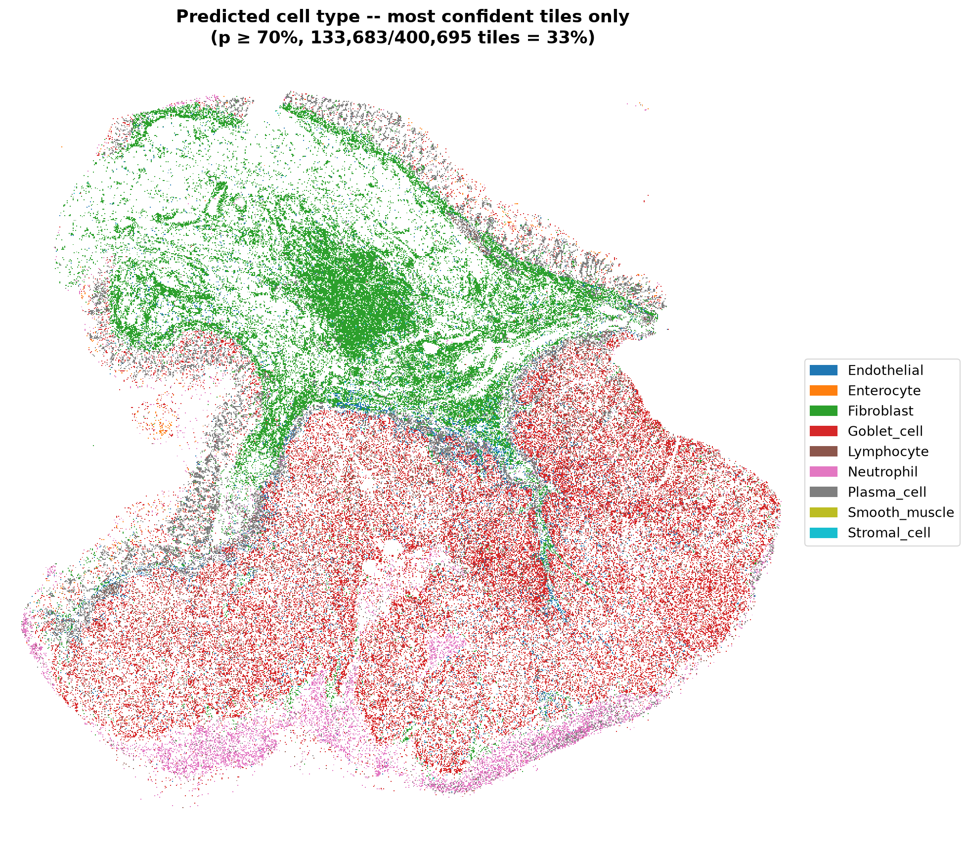 Cell-identity predictions on the same slide, showing only tiles with a model score of at least 0.70