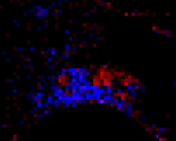 Ground-truth malignant cells in red and immune cells in blue